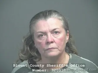 Recent Mugshot Image for MELINDA LEA LOVINGOOD in Blount County, Tennessee