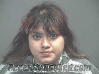 Recent Mugshot Image for DENISSE MERCADO PIZARRO in Blount County, Tennessee