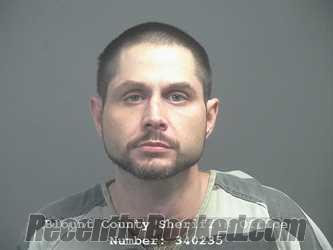 Recent Mugshot Image for ROBERT MICHAEL FORD in Blount County, Tennessee