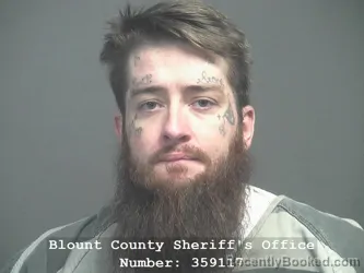 Recent Mugshot Image for EARL DAVID METCALF in Blount County, Tennessee