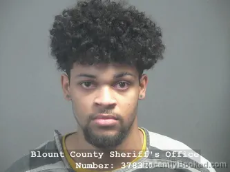 Recent Mugshot Image for ALEC Camden JEFFERSON in Blount County, Tennessee