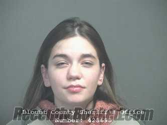 Recent Mugshot Image for BRINKLEY CAROL TIVNAN in Blount County, Tennessee