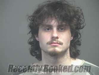Recent Mugshot Image for LEVI SCOUT MCCLURE in Blount County, Tennessee