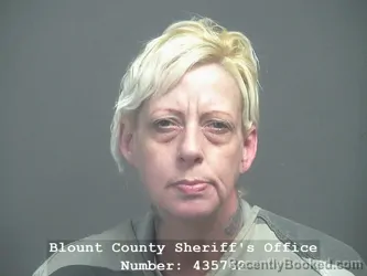 Recent Mugshot Image for ANITA MARIE ROBINSON in Blount County, Tennessee