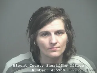 Recent Mugshot Image for WHITNEY PAIGE MANNIS in Blount County, Tennessee