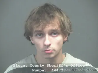 Recent Mugshot Image for DONAVIN GAGE SCHMIDT in Blount County, Tennessee