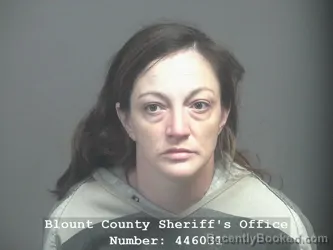 Recent Mugshot Image for JESSICA NICOLE ROBERTS in Blount County, Tennessee