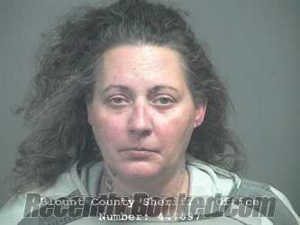 Recent Mugshot Image for AMANDA SUE JOHNSON in Blount County, Tennessee