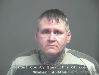 Recent Mugshot Image for JAMES ELLIS PHILLIPS in Blount County, Tennessee