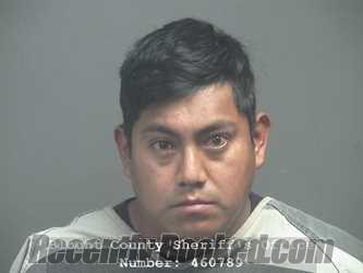 Recent Mugshot Image for MARTIN GRACIA VELASCO in Blount County, Tennessee