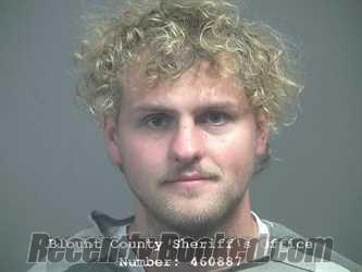 Recent Mugshot Image for MARIUS CHIBOTAR in Blount County, Tennessee