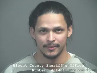 Recent Mugshot Image for JOSI ENRIQUE RUYZ in Blount County, Tennessee