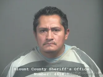 Recent Mugshot Image for YONY ALEXANDER HERNANDEZ SANCHEZ in Blount County, Tennessee