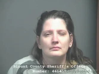 Recent Mugshot Image for AMANDA ELISABETH CONN in Blount County, Tennessee