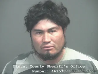 Recent Mugshot Image for ALBERTO PICHARDO GONZALEZ in Blount County, Tennessee