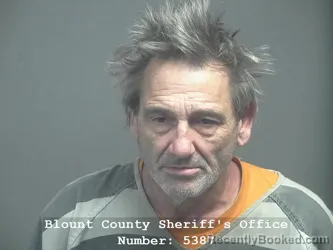 Recent Mugshot Image for JAMES ANTHONY JAMES in Blount County, Tennessee