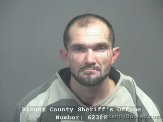 Recent Mugshot Image for WILLIAM RAY McBURNETTE in Blount County, Tennessee