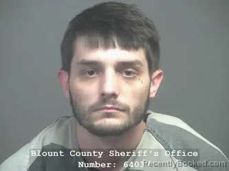 Recent Mugshot Image for TYLOR ALAN LYNN RUSSELL in Blount County, Tennessee