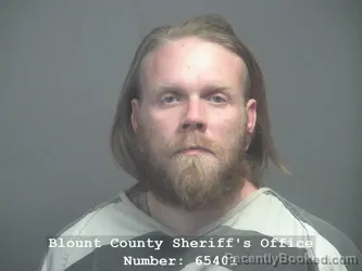 Recent Mugshot Image for COREY CHRISTOPHER ANDERSON in Blount County, Tennessee