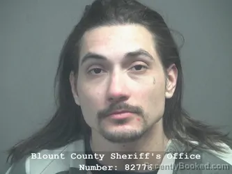 Recent Mugshot Image for NICHOLAS JAMES GUIDRY in Blount County, Tennessee