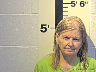 Recent Mugshot Image for BRENDA G LEWIS in Claiborne County, Tennessee