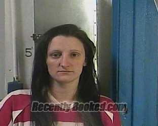 Recent Mugshot Image for CECELIA CAMPOS CLEVENGER in Cocke County, Tennessee