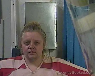 Recent Mugshot Image for DAWN NICOLE SUTTON in Cocke County, Tennessee