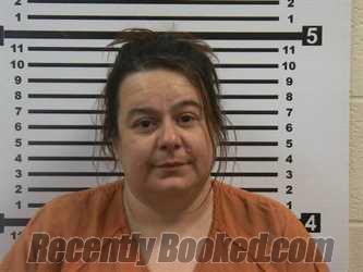 Recent Mugshot Image for ANDREA LYNN TIDWELL in Hardeman County, Tennessee