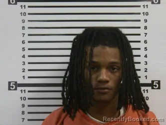 Recent Mugshot Image for TERRECUS PHILDALE HAMILTON in Hardeman County, Tennessee