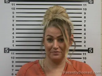 Recent Mugshot Image for KEELEY LYN BORDEN in Hardeman County, Tennessee