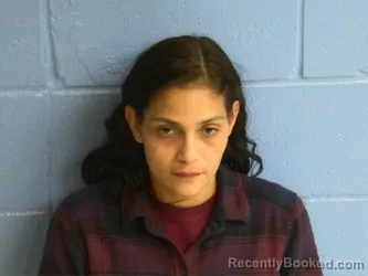 Recent Mugshot Image for JESSELIS RODRIGUEZ in Humphreys County, Tennessee