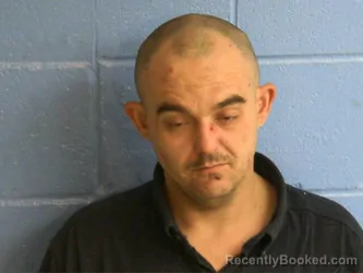 Recent Mugshot Image for FRANK DOUGLAS TUMMINS in Humphreys County, Tennessee