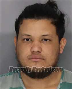 Recent Mugshot Image for ARIEL ANTONIO CACERES MIDENCE in Jefferson County, Tennessee