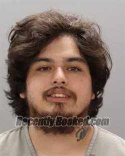 Recent Mugshot Image for CHRISTIAN L WILLIAMS in Knox County, Tennessee