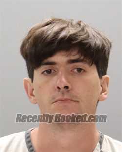 Recent Mugshot Image for DEVIN MICHEL FLEMING in Knox County, Tennessee