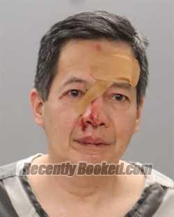 Recent Mugshot Image for DUYEN MAESTROIANI in Knox County, Tennessee
