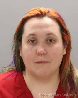 Recent Mugshot Image for STEPHANIE NICOLE ORANGE in Knox County, Tennessee
