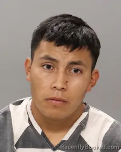 Recent Mugshot Image for FELIPE MIGUEL MIGUEL in Knox County, Tennessee