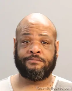Recent Mugshot Image for TAMICHAEL LAMONT JACKSON in Knox County, Tennessee