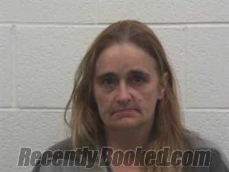 Recent Mugshot Image for CRYSTAL DELORIS HOPPING in Loudon County, Tennessee