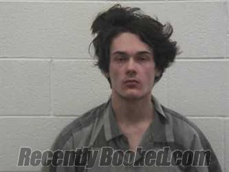 Recent Mugshot Image for ANDREW WAYNE HARVILLE in Loudon County, Tennessee