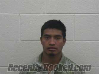 Recent Mugshot Image for AGAHI GONZALEZ JACINTO in Loudon County, Tennessee