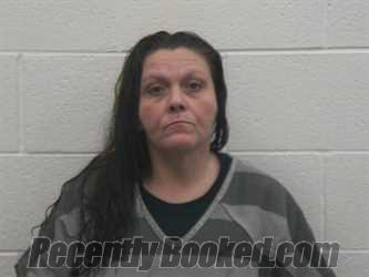 Recent Mugshot Image for NICHOLE MICHELLE JOHNSON in Loudon County, Tennessee