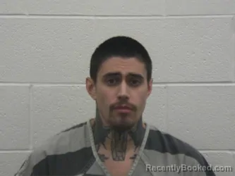 Recent Mugshot Image for HARLAN RICHARD DEHART in Loudon County, Tennessee