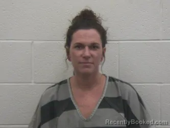Recent Mugshot Image for DESTANY FAITH HASSETTT in Loudon County, Tennessee