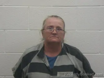 Recent Mugshot Image for MELISSA ANN BROYLES in Loudon County, Tennessee
