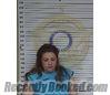 Recent Mugshot Image for MELLISSA WAGNER in McMinn County, Tennessee