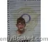 Recent Mugshot Image for JOSHUA PATTERSON in McMinn County, Tennessee