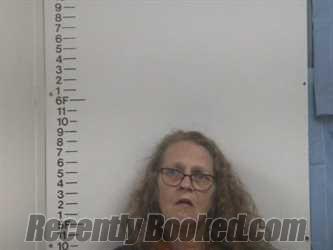 Recent Mugshot Image for TAMMY L DAVIS in Putnam County, Tennessee