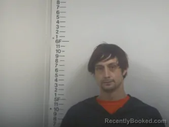 Recent Mugshot Image for BRIDGESS L FORD in Putnam County, Tennessee